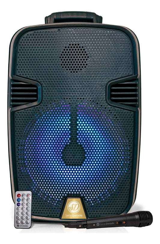 SISTEMA DE AUDIO SD-810
